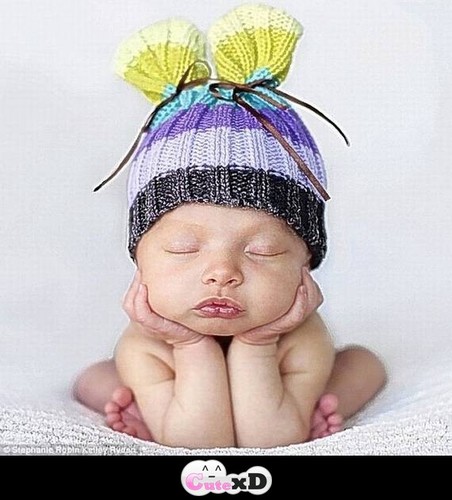 buceo66's profile picture. 