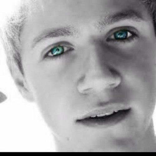 IFeelThePayne34's profile picture. Hey ! I'm Bramble! I love One Direction ! I met the boys 1/13/12! ;D