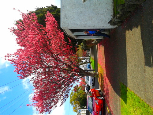 jasminebartleet's profile picture. 