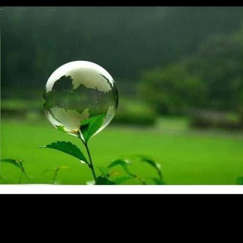 mohammad246's profile picture. 