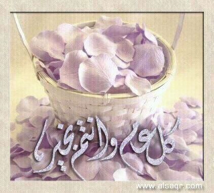 900zahraa900's profile picture. 