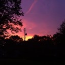 Ann Montgomery - @fun_ann - Twitter