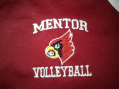 MentorVBall's profile picture. 