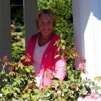 Nanmc99 (@nanmc99) 's Twitter Profile