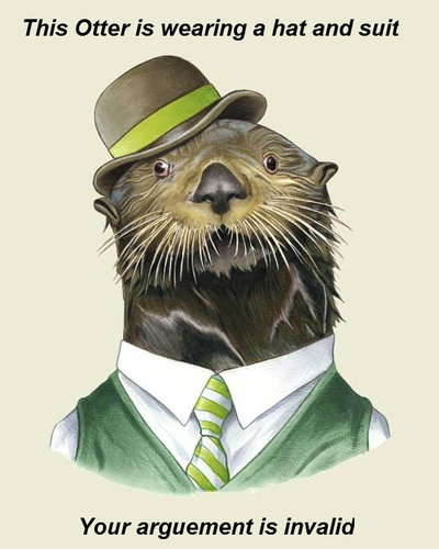 Ray The Otter
