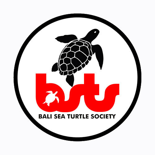 Bali Sea Turtle Society (BSTS) organisasi nir laba non pemerintah, bekerja untuk melindungi penyu dengan program edukasi, kampanye & rescue. Bali - Indonesia.