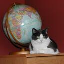 Barb Frank - @Babsspam - Twitter