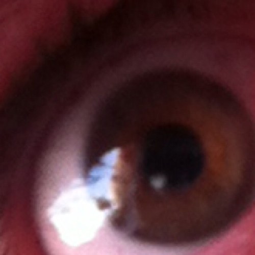 homelester's profile picture. #hobo #funny