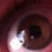 homelester's profile image