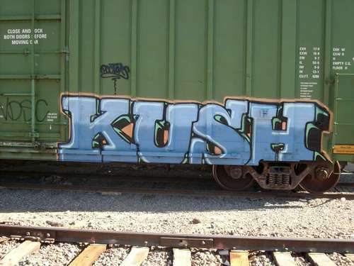 KroniicTweets's profile picture. Puffin' all day err day! Go ahead and follow to see the most Kroniic Tweets. #FollowBack #StayBlazin