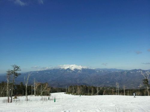 r33nismo53jp's profile picture. 心のままに色々書こうと思います♪♪ちなみに、趣味はスケボー。