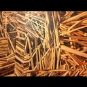 Michael Licht - @mPhysioLite - Twitter