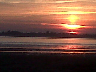 flcroney's profile picture. 