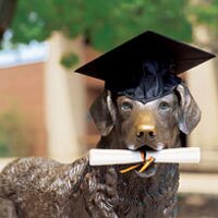 UMBC Alumni Assoc. (@umbcalumni) 's Twitter Profile