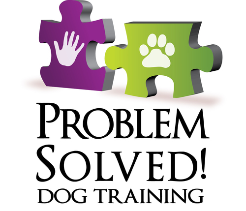 Behavior training for dogs and their people