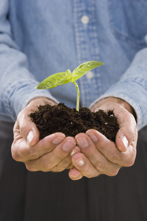 generate immediate funds with minimal to zero liability. Register for FREE!