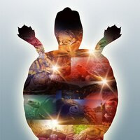 kamelove🐢 (@_kamelove) Twitter profile photo