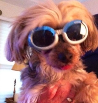 GaryGregory39's profile picture. 