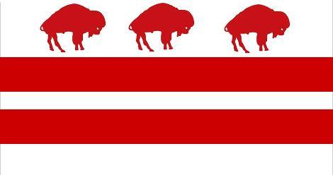 Too many opinions for my own good, including: you're wrong about Buffalo; we need more progressives; drive to the end of zipper merges. I lead DC #BillsMafia🦬