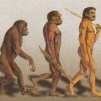 Procon ID (@procon_id) 's Twitter Profile