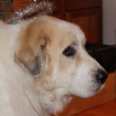 Mary Wideman - @MaWideman - Twitter