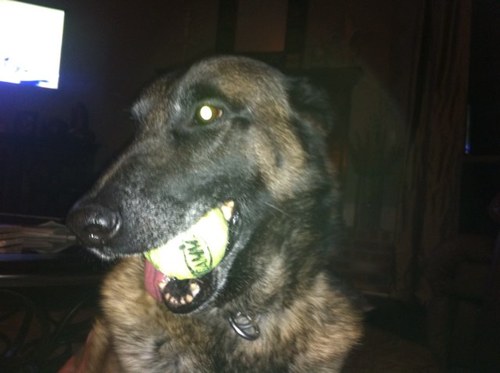 voodooman31's profile picture. COO, husband of one, father of four. Graduated left lane university