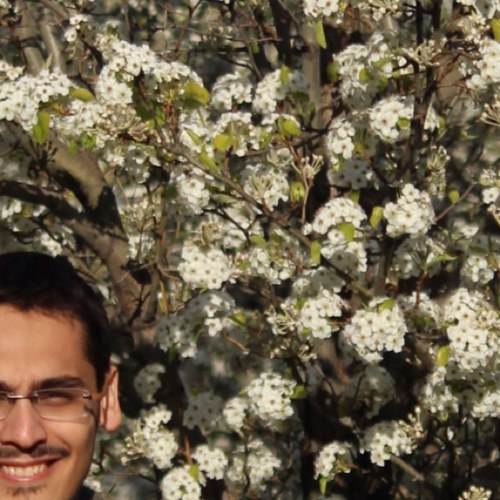 essamo1's profile picture. FRCPC/ABP - Pediatric Heme/ONC/SCT استشاري دم وأورام وزراعة خلايا جذعية لدى الأطفال - الزمالة الكندية والبورد الأمريكي -أدعم السجل السعودي للخلايا الجذعية وبقوة