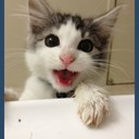 Taylor Lemon - @TL3m0n - Twitter