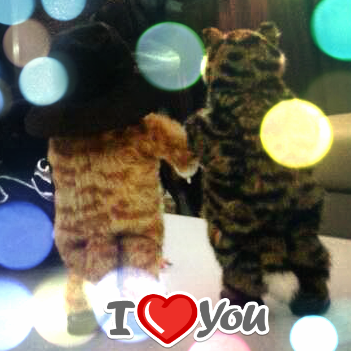 secretcode33's profile picture. 東方神起大好きです♪ JYJ も大好きです♪♪やっぱり5人が大好きです(^o^)/