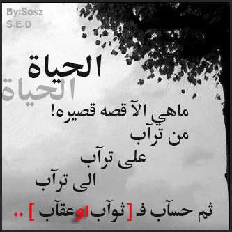 ربي رضاك أرجو