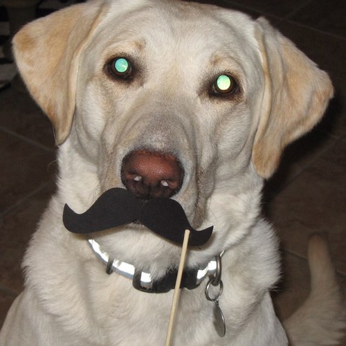 27DavidWright's profile picture. 