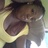ThatGirlDashea's profile image