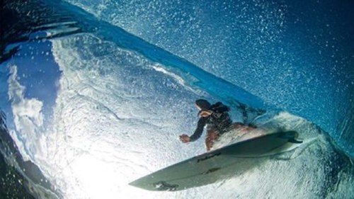 GavinFenemore's profile picture. 