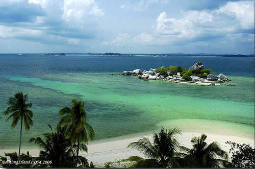 SwimNDive_UAJ's profile picture. UKM Renang & Selam, tempat berkumpulnya perenang dan penyelam (Atma Jaya Diving Club)