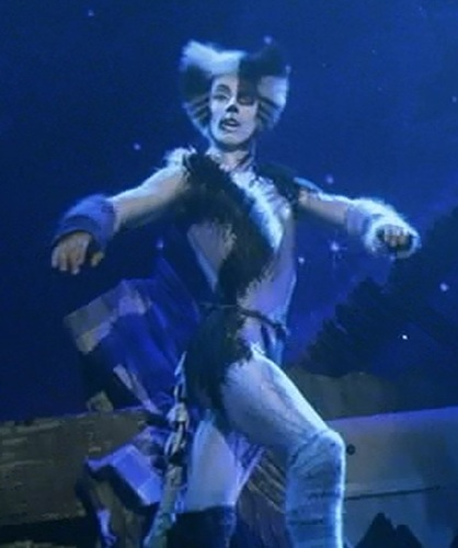AlonzoCats's profile picture. Hey, I'm the best dancer cat in the world. (Parody Account) But supporting Jason Gardiner.