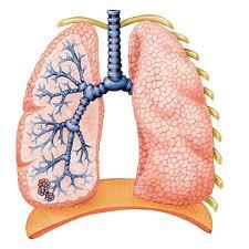Provides latest news about mesothelioma and asbestos litigation.
