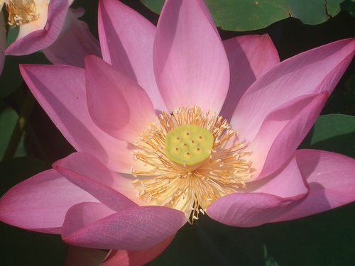 yian52's profile picture. 