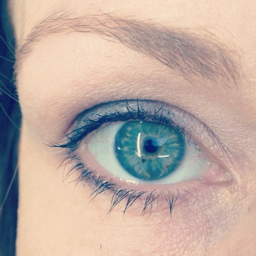 ehegsy's profile picture. 