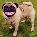 Alexa Pugh - @PughAlexa - Twitter