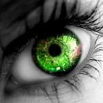 habarovchanka's profile picture. 