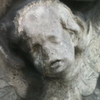 Andy Gordon (@andy2wheels) 's Twitter Profile Photo