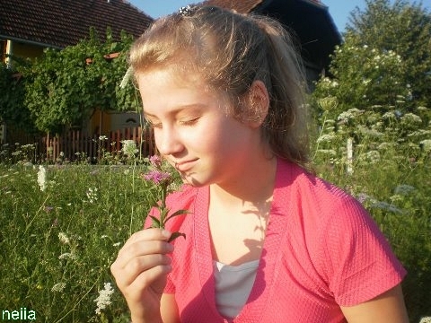 NDrevljak's profile picture. Follow me and I'll follow you back...