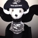 Brett Giles - @brett_giles - Twitter