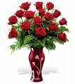 SameDayFlowers's profile picture. Discounted Same Day Flower Delivery from Major Online Florists
