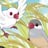 尾上羽夢さんのプロフィール画像