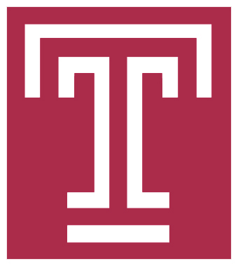 Temple-LEAP's mission is to educate non-lawyers, particularly middle and high school students from Philadelphia area schools, about the law and citizenship.