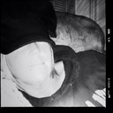 Tracy Witt - @witt_tracy - Twitter