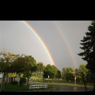 snakyjaky's profile picture. 