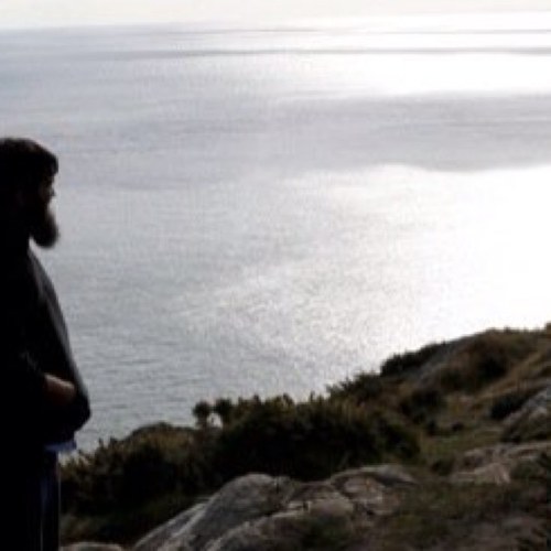 StephenShah1's profile picture. 