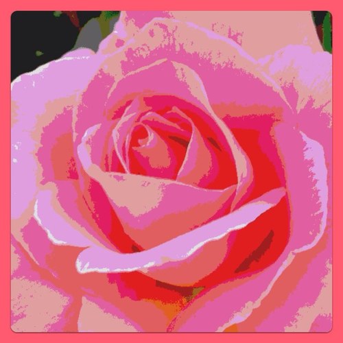 anngrant's profile picture. 